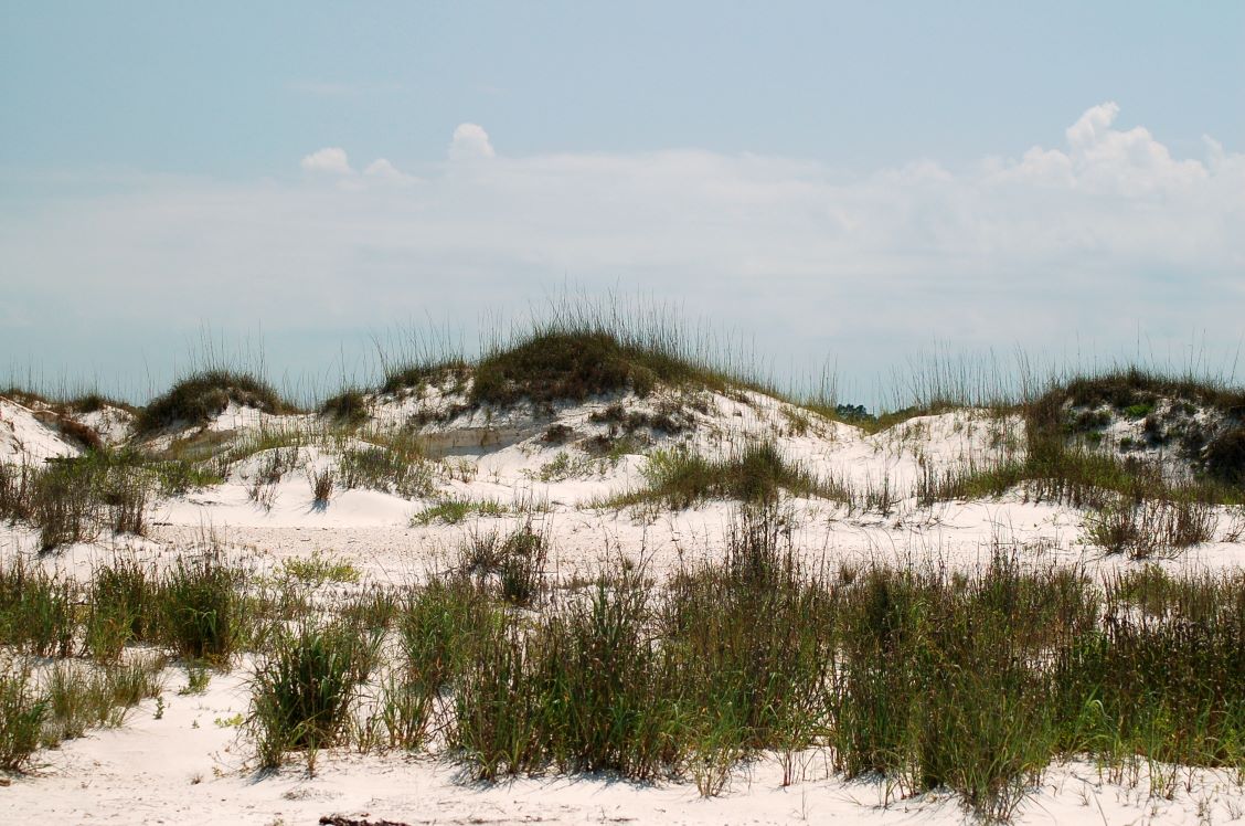 Buyers Guide callout